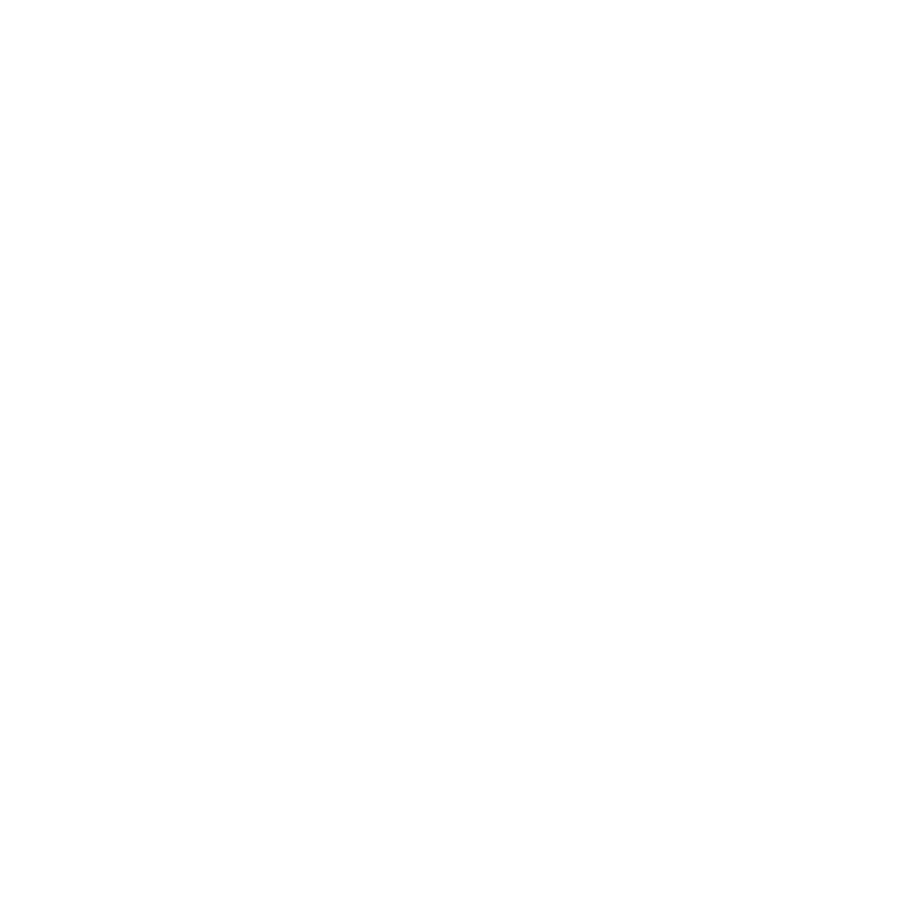 Virginia Film Festival