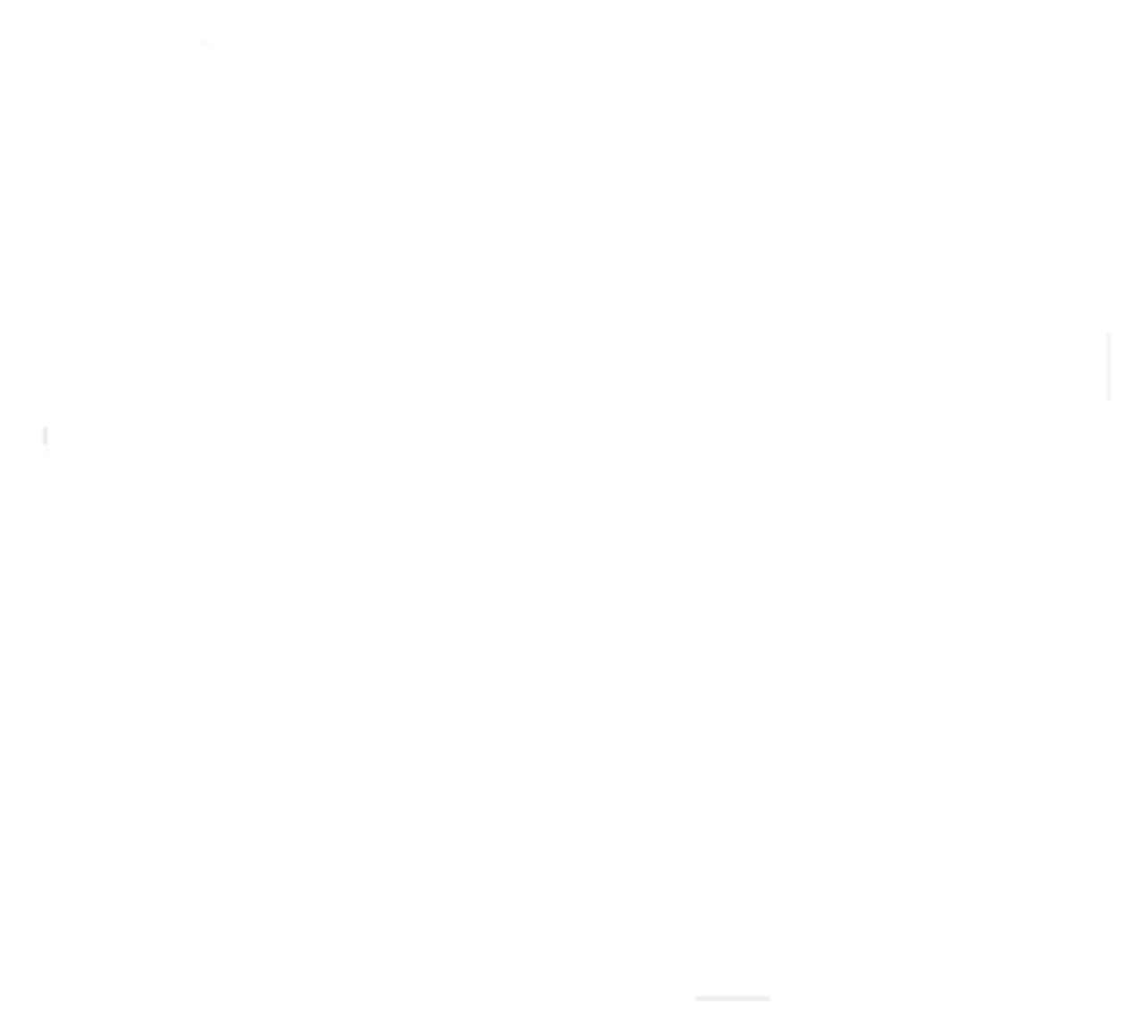 San Diego Asian Film Festival