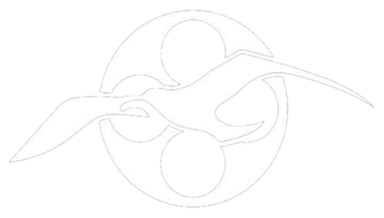 New Hampshire Film Festival