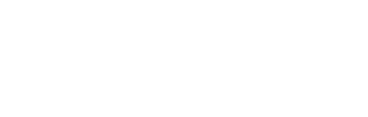 Rendezvous with Madness Festival