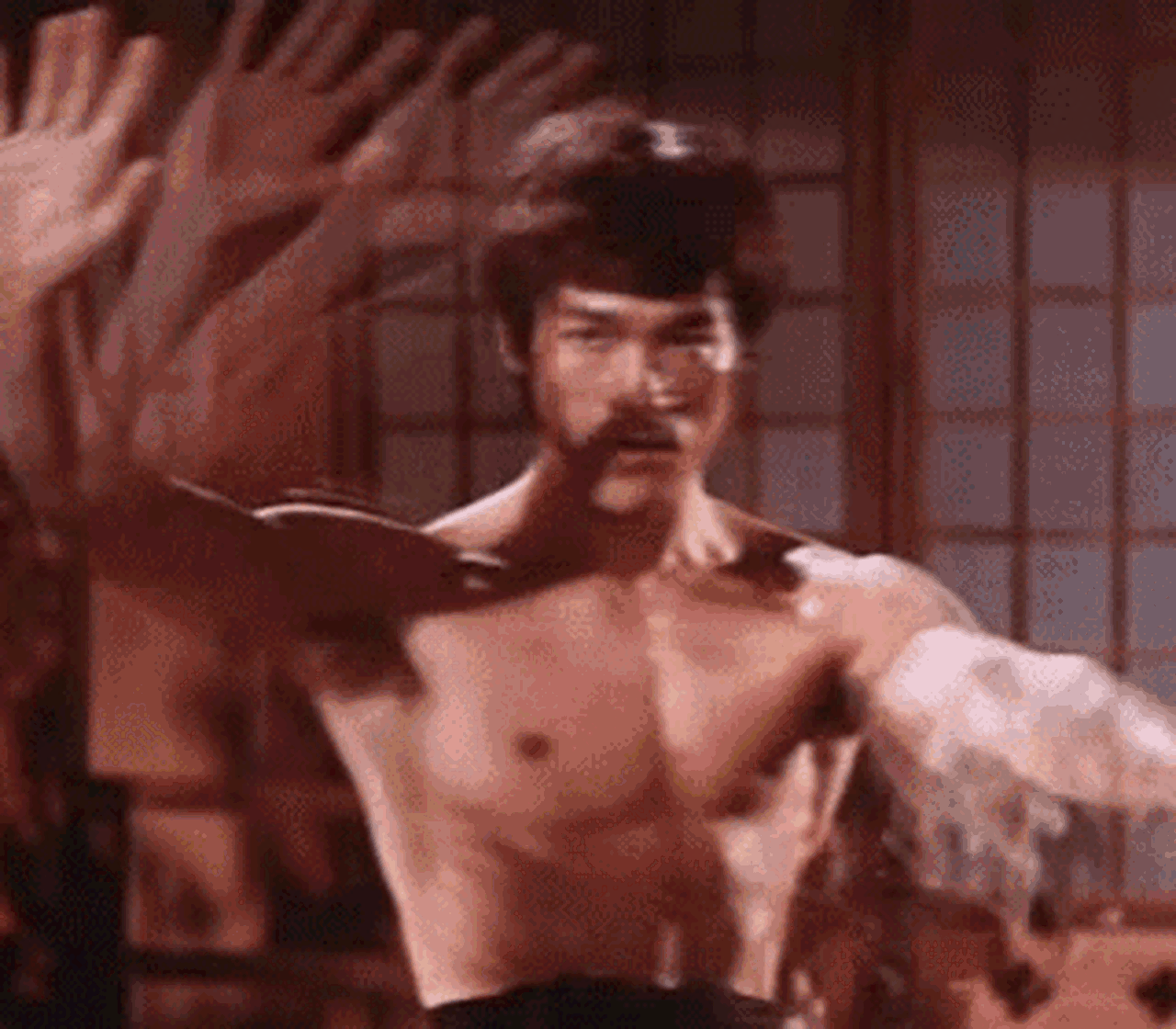 Martial arts GOLDEN rank - Movies List on MUBI