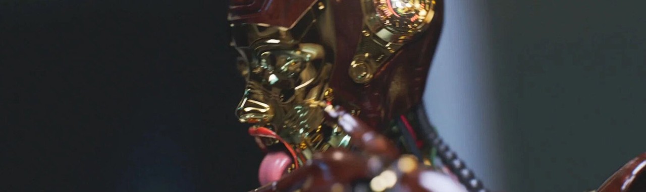 SYMPATHY FOR THE ROBOT