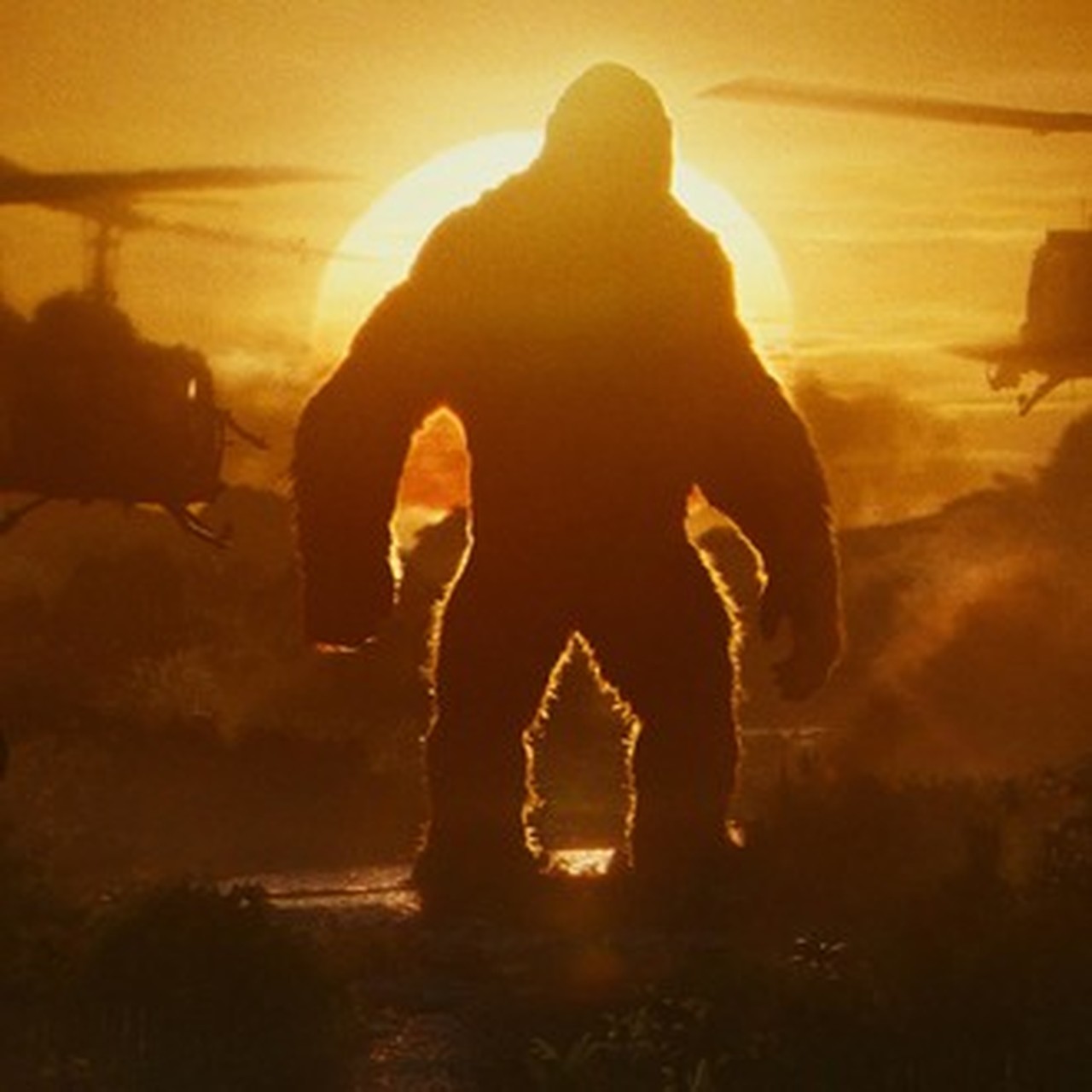 Chasing Kong on Notebook | MUBI