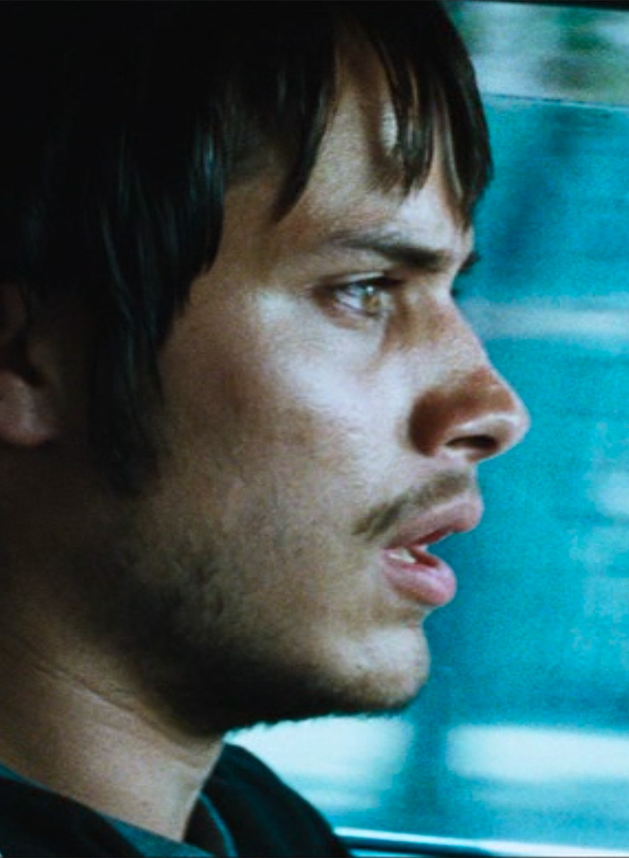Amores Perros