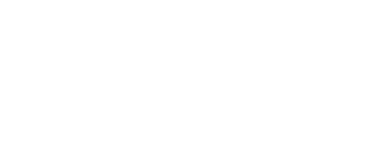 New York Film Festival