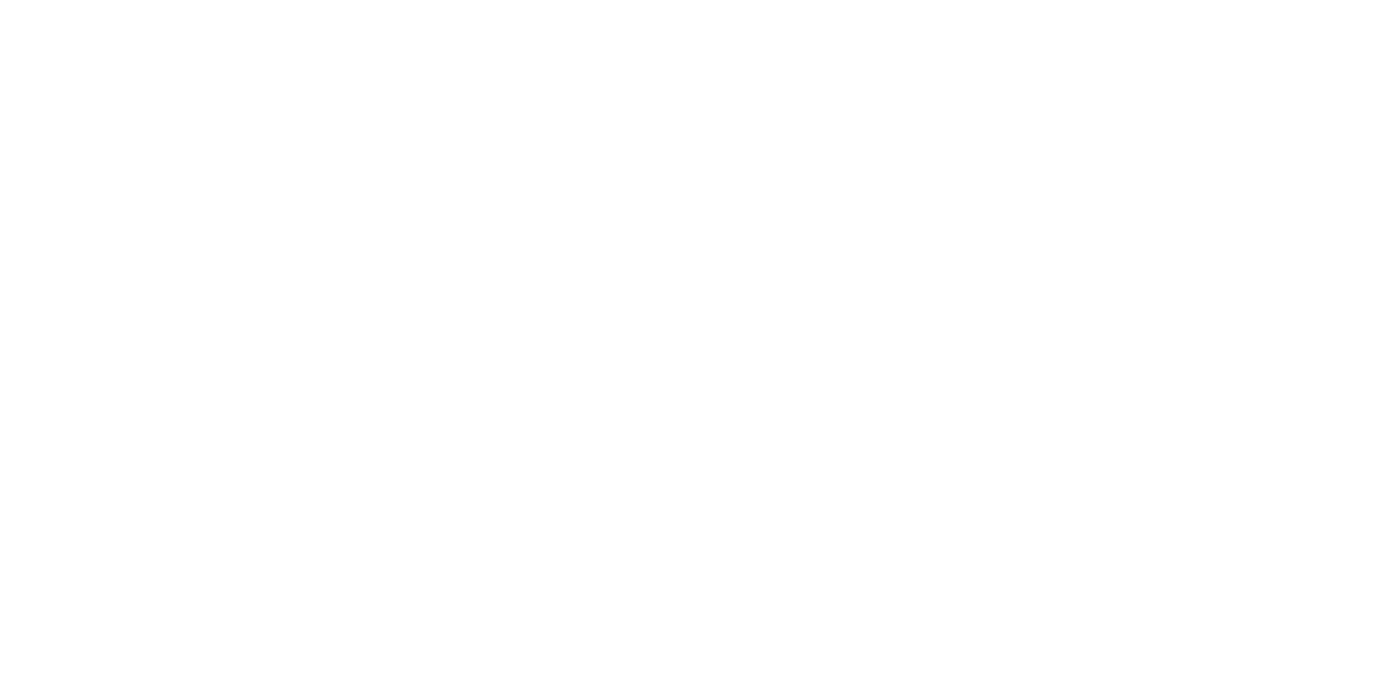 Design Thinkers
